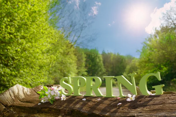 Spring Concept — Stock Photo, Image