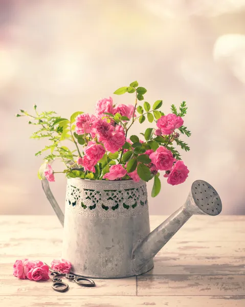 Roses In Watering Can — Stock Photo, Image