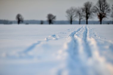 kar izi
