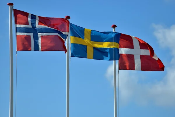 Scandinavian flags — Stock Photo, Image