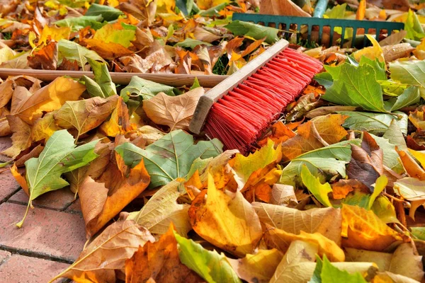 Balayant les feuilles — Photo