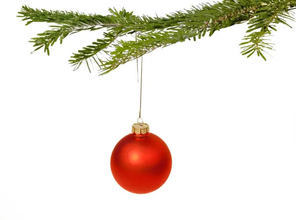 Red Christmas decorations on a branch — Stock Photo, Image