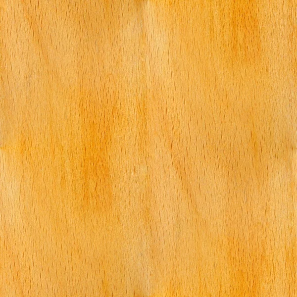 Beech - seamless tileable texture — Stock Photo, Image