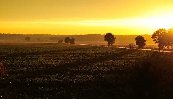 Sonnenuntergänge im Land Stockbild