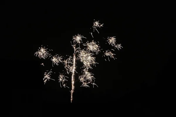 New Year fireworks — Stock Photo, Image