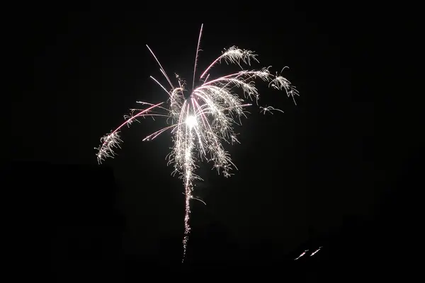 New Year fireworks — Stock Photo, Image