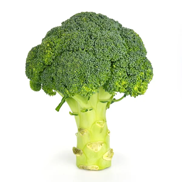 Broccoli — Stock Photo, Image