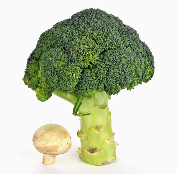 Broccoli and mushroom — Stock Photo, Image