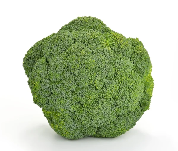 Broccoli — Stock Photo, Image