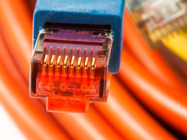 Netzwerkstecker
