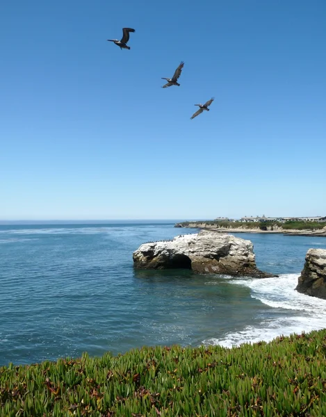 Oceano califórnia — Fotografia de Stock