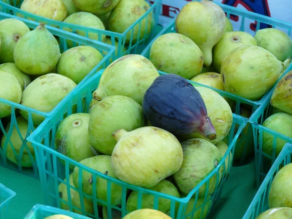 Frische Feigen — Stockfoto