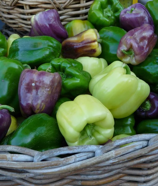 Pimentos de sino — Fotografia de Stock