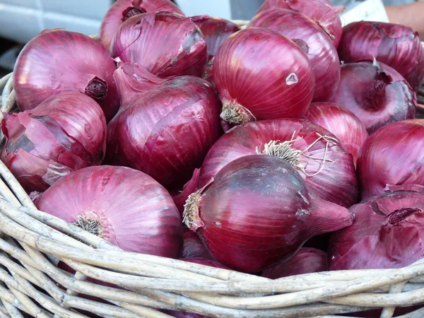 Červené cibule — Stock fotografie