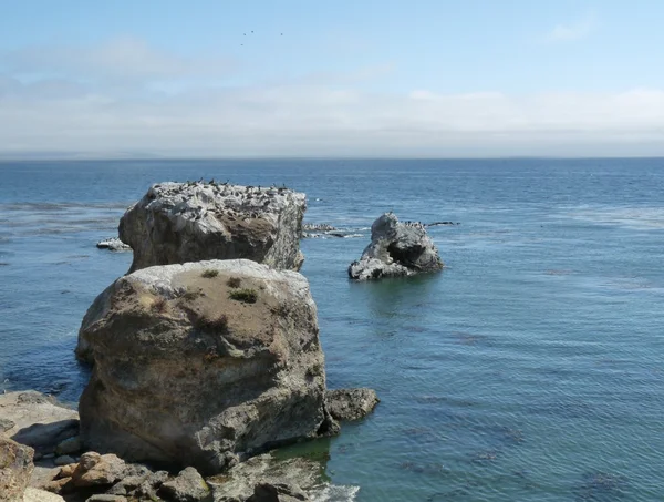 Vackra havet — Stockfoto