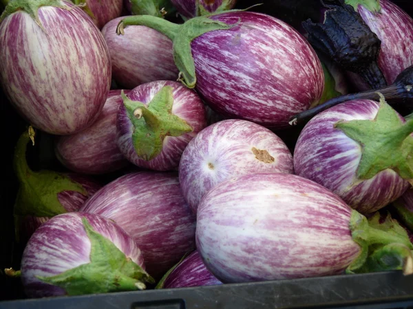 Aubergines Stockafbeelding