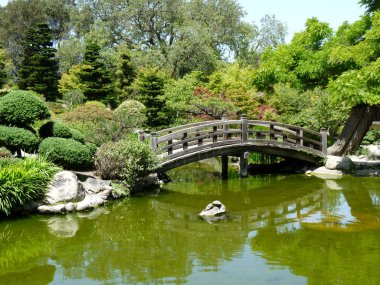 Japon Bahçesi