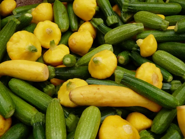 Zucchini — Stockfoto