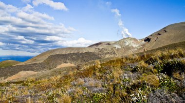 Volkan mt. tongariro buğulaması