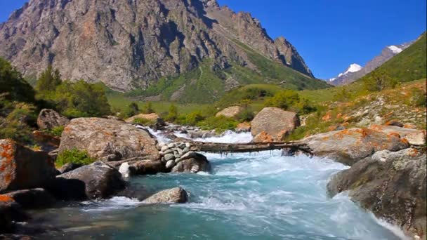 Il fiume di montagna con un ponte fatto di tronchi — Video Stock