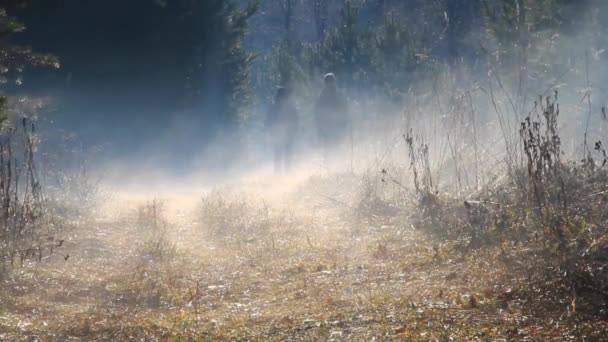 Two silhouettes emerge from the fog. — Stock Video