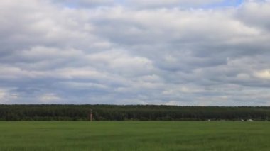Kulesi