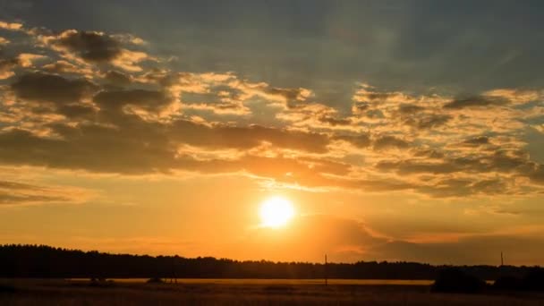 Pôr do sol dourado — Vídeo de Stock