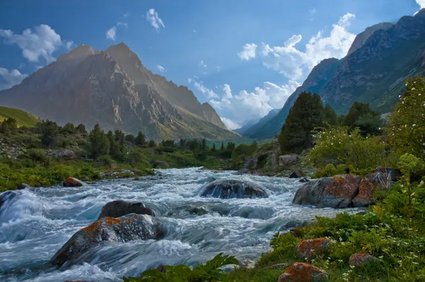 Il fiume magico — Foto Stock