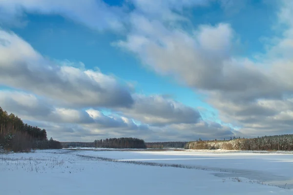 Forêt d'hiver — Photo