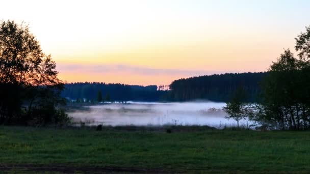 Morning mist. Timelaps — Stock Video