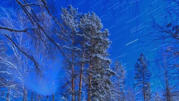 Moonlit Night on the cordon, Star Trails, Timelapse — Stock Video