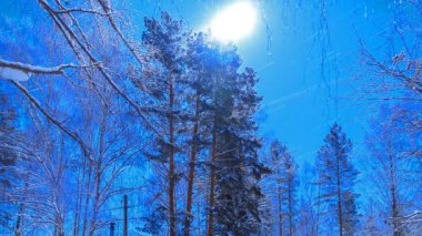 cordon, star yollar, timelapse mehtaplı gecede