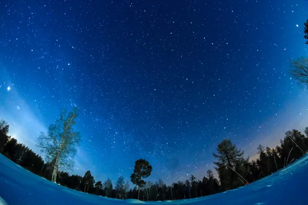 Cielo estrellado en invierno — Foto de Stock