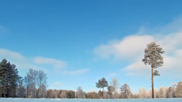 Wolken in de winter. — Stockvideo
