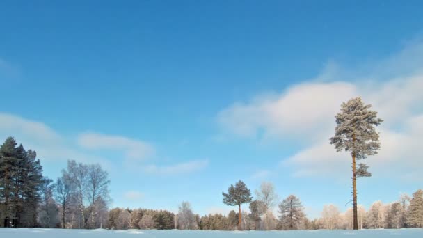 Nuvens no inverno . — Vídeo de Stock