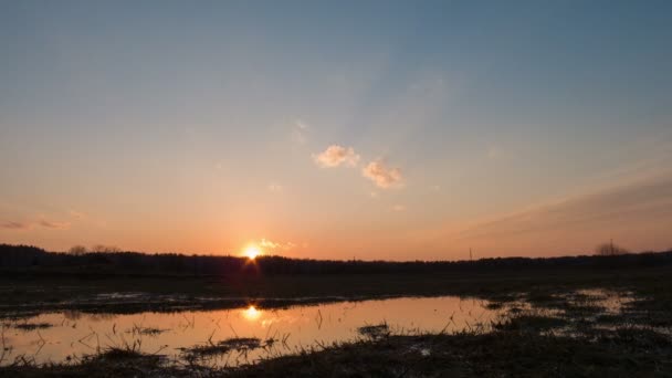 Sunset återspeglas i en pöl på fältet. — Stockvideo