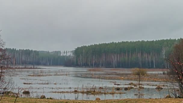 Nad jeziorem deszcz. przychodzi noc. timelapse — Wideo stockowe