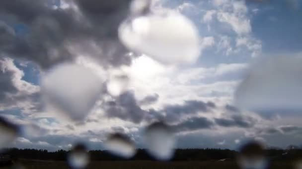 Lluvia y sol. Gotas en la lente — Vídeo de stock