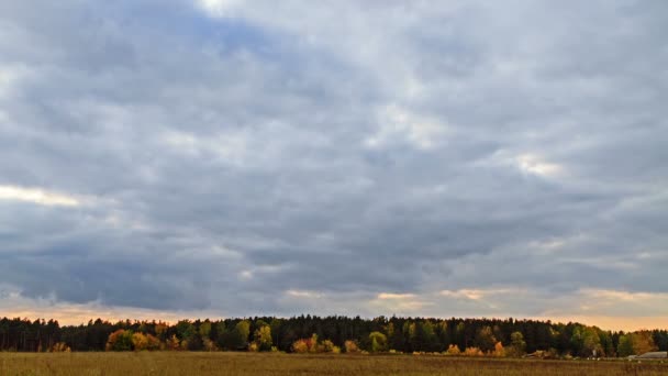 Stralen van de zon op een achtergrond herfst landschap — Stockvideo