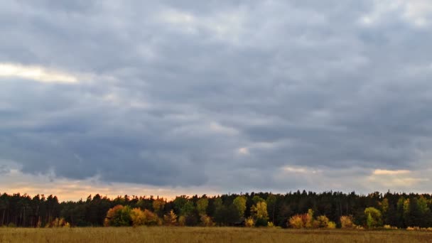 Rayons de soleil sur un fond paysage d'automne 