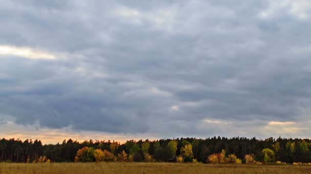 Raggi di sole su uno sfondo paesaggio autunnale — Video Stock