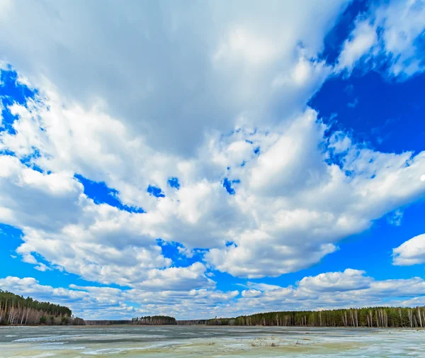 Paisagem de primavera, a neve última . — Fotografia de Stock