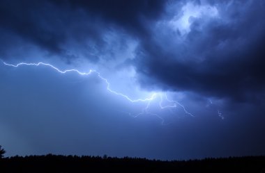 arka plan ağaç üzerinde gökyüzünde yıldırım