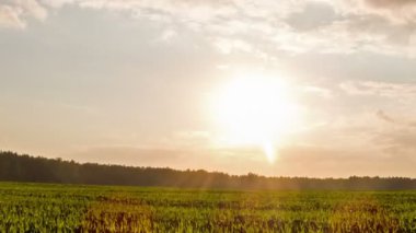gün batımında filizi. gökyüzü. zaman atlamalı