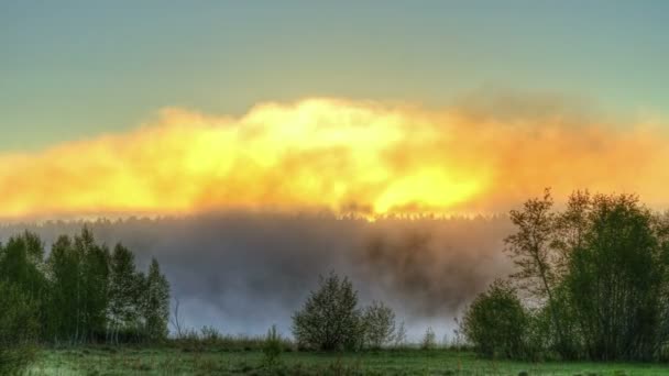 Sunrise through the mist. True HDR. Bright colors and high contrast. Time Lapse — Stock Video