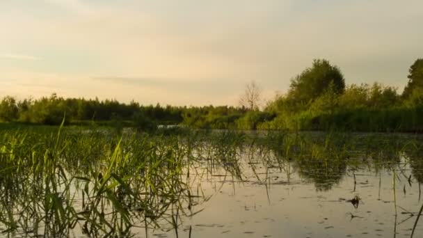 Zonsondergang weerspiegeld in de rivier — Stockvideo