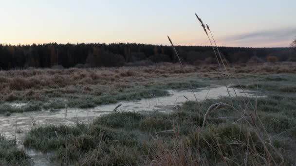 L'alba sulla palude ghiacciata. Interruzione temporale — Video Stock