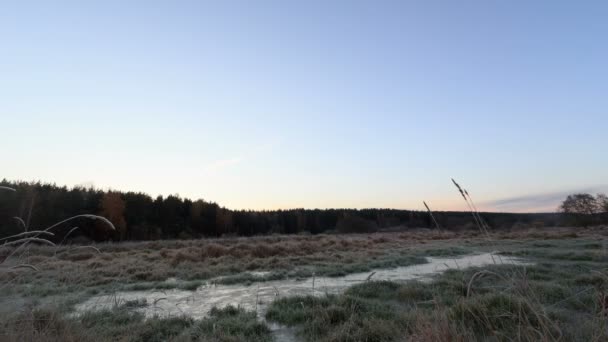 Dawn over the frozen swamp. Time Lapse — Stock Video