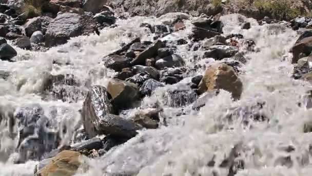 Rivière White Mountain 
