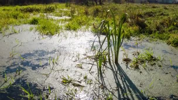 Rivière submergée. Délai imparti 